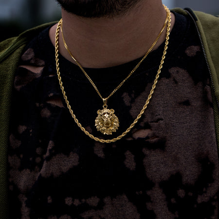 4mm Rope Chain + Gold Lion Set