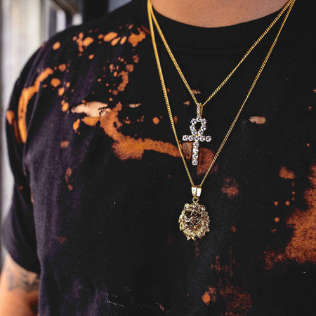 Ankh and Lion Set