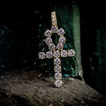 Ankh and Lion Set
