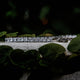 Princess Cut Tennis Bracelet in White Gold